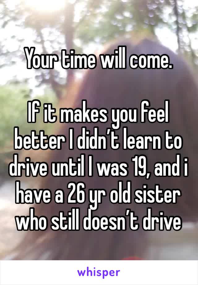 Your time will come.

If it makes you feel better I didn’t learn to drive until I was 19, and i have a 26 yr old sister who still doesn’t drive