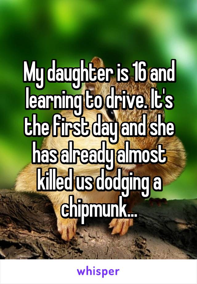 My daughter is 16 and learning to drive. It's the first day and she has already almost killed us dodging a chipmunk...