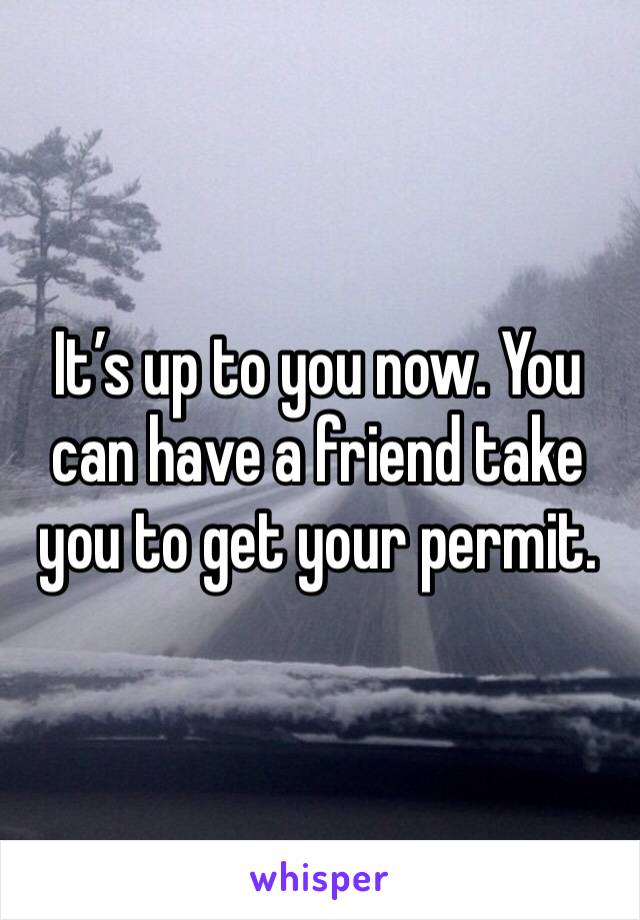 It’s up to you now. You can have a friend take you to get your permit. 