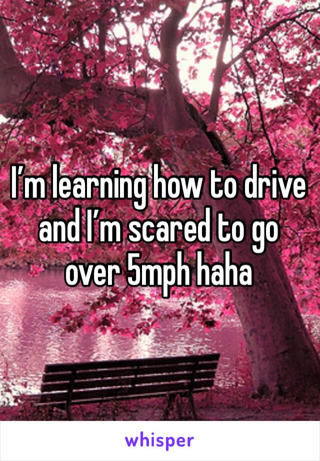 I’m learning how to drive and I’m scared to go over 5mph haha