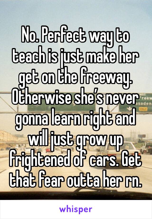 No. Perfect way to teach is just make her get on the freeway. Otherwise she’s never gonna learn right and will just grow up frightened of cars. Get that fear outta her rn. 