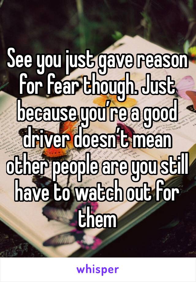 See you just gave reason for fear though. Just because you’re a good driver doesn’t mean other people are you still have to watch out for them 