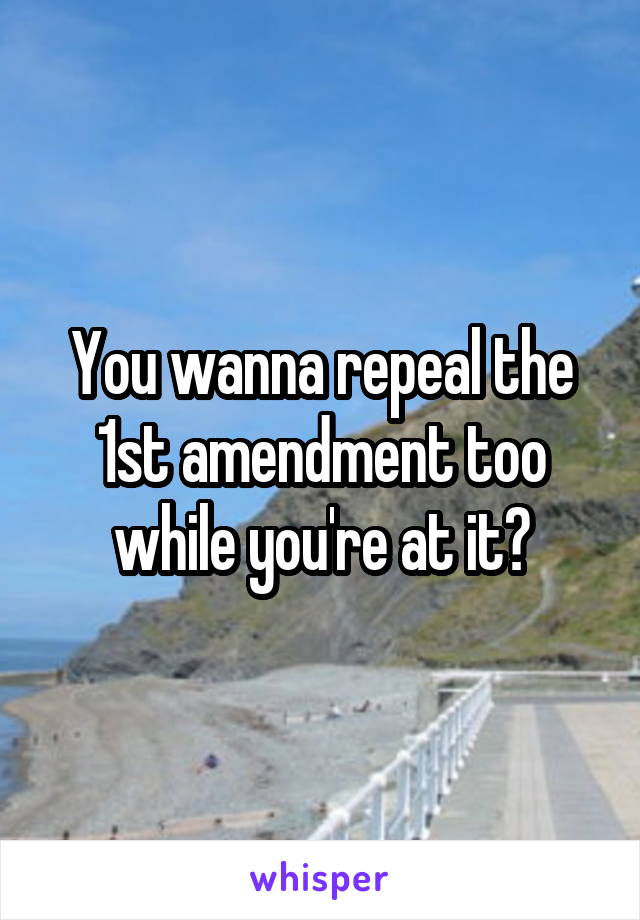 You wanna repeal the 1st amendment too while you're at it?