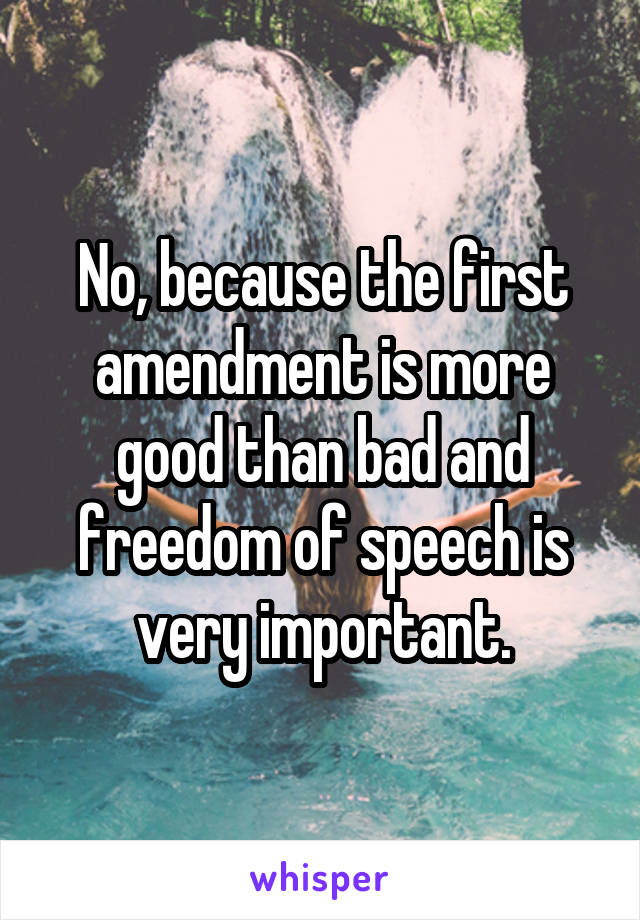 No, because the first amendment is more good than bad and freedom of speech is very important.