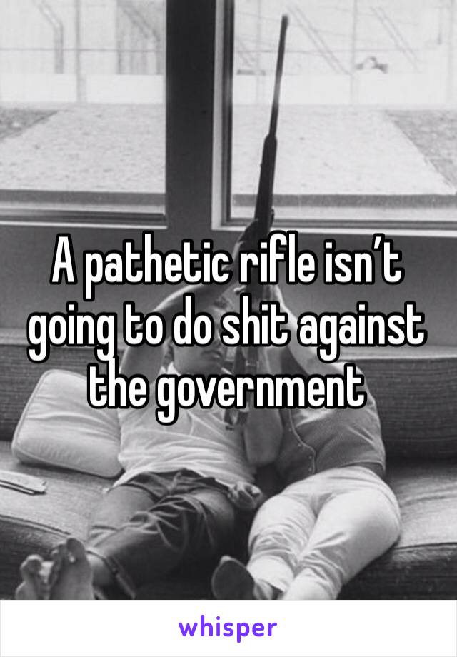 A pathetic rifle isn’t going to do shit against the government 