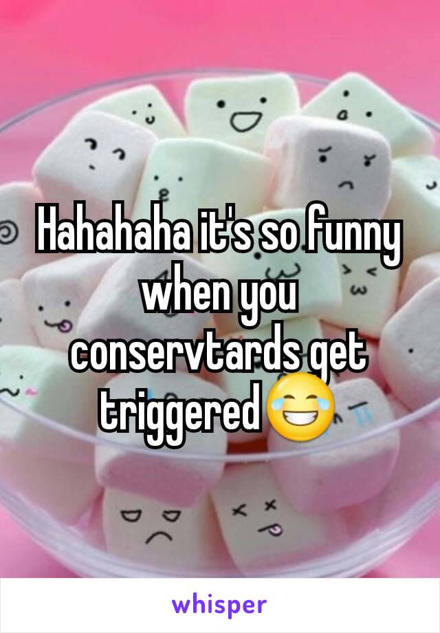 Hahahaha it's so funny when you conservtards get triggered😂