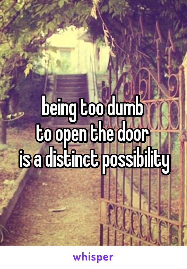 being too dumb 
to open the door 
is a distinct possibility