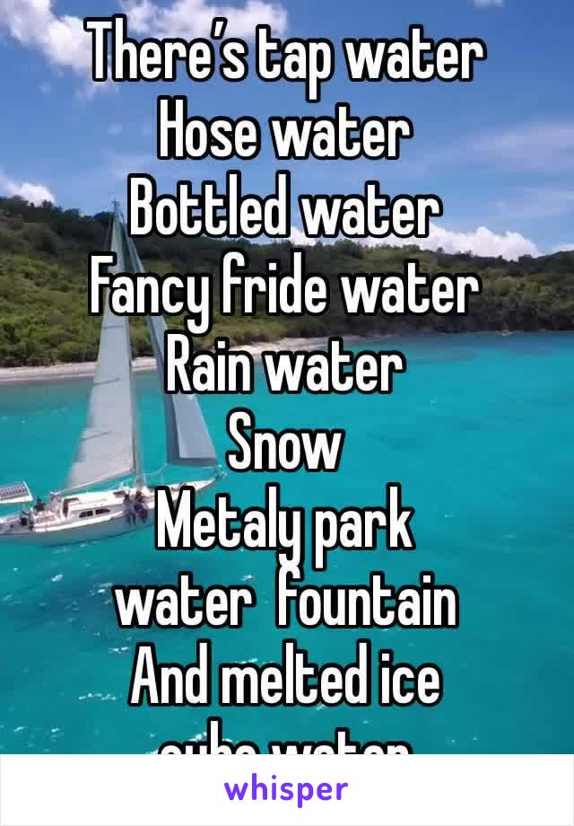 There’s tap water 
Hose water
Bottled water 
Fancy fride water
Rain water
Snow 
Metaly park water  fountain 
And melted ice cube water