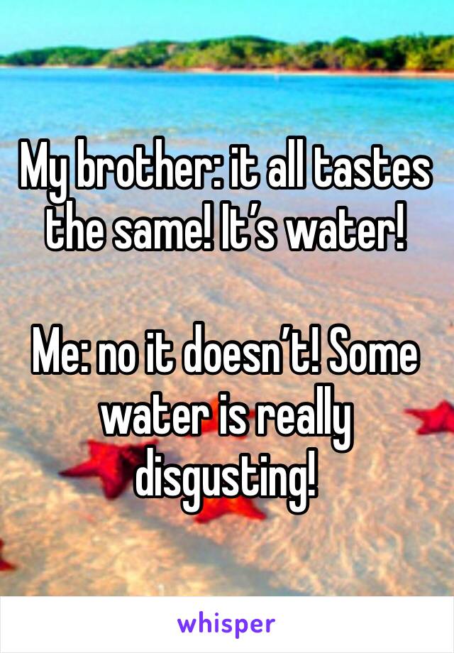 My brother: it all tastes the same! It’s water!

Me: no it doesn’t! Some water is really disgusting!