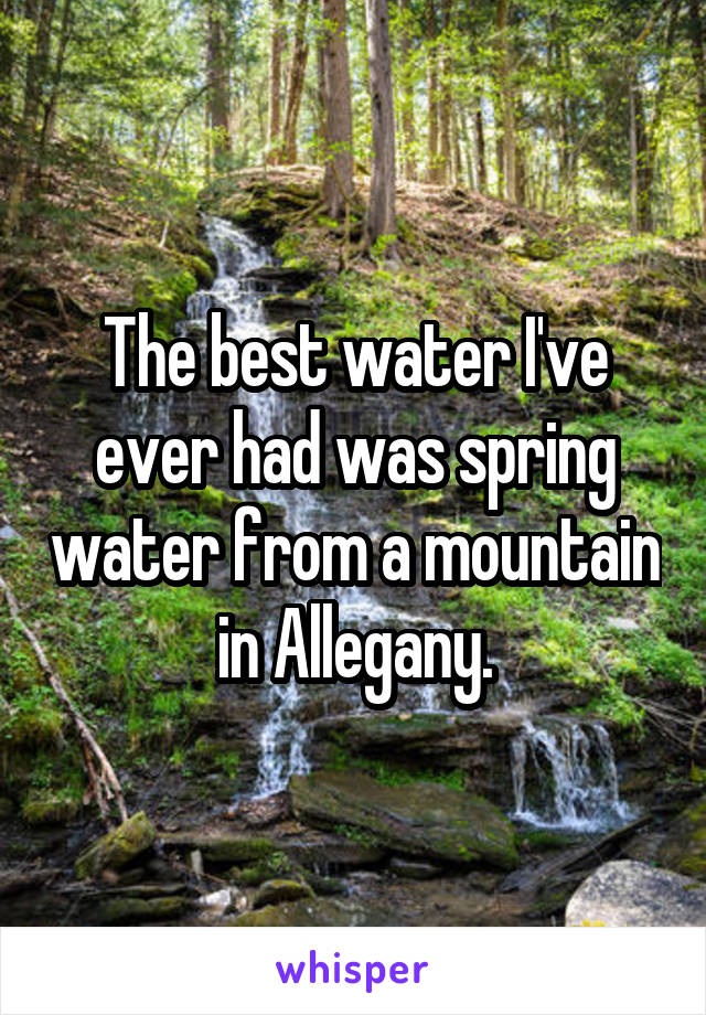 The best water I've ever had was spring water from a mountain in Allegany.