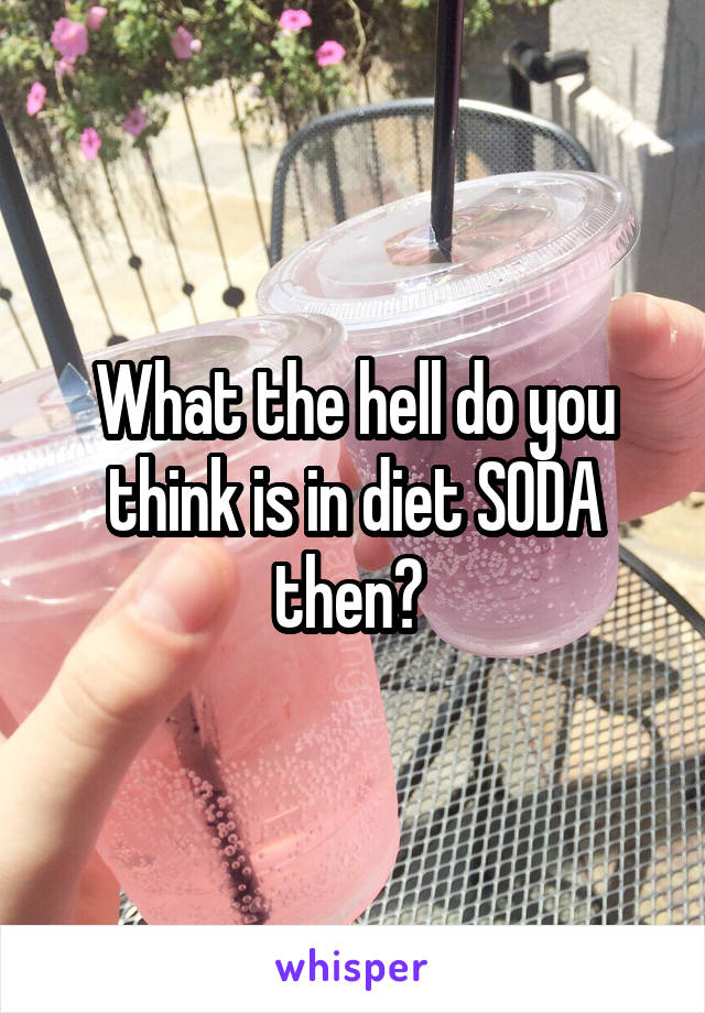 What the hell do you think is in diet SODA then? 