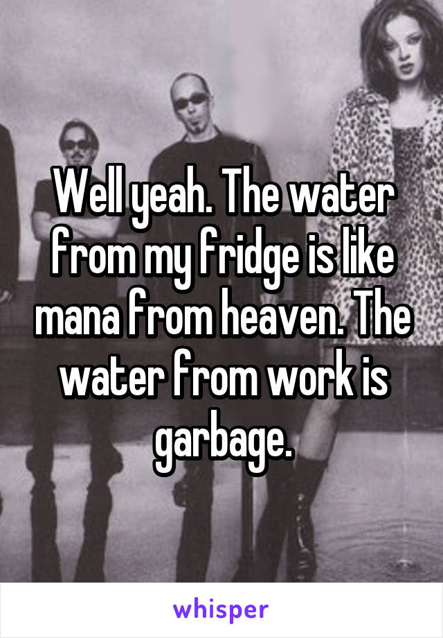 Well yeah. The water from my fridge is like mana from heaven. The water from work is garbage.