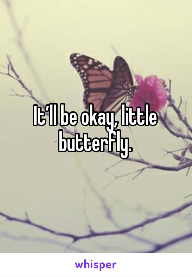 It’ll be okay, little butterfly. 