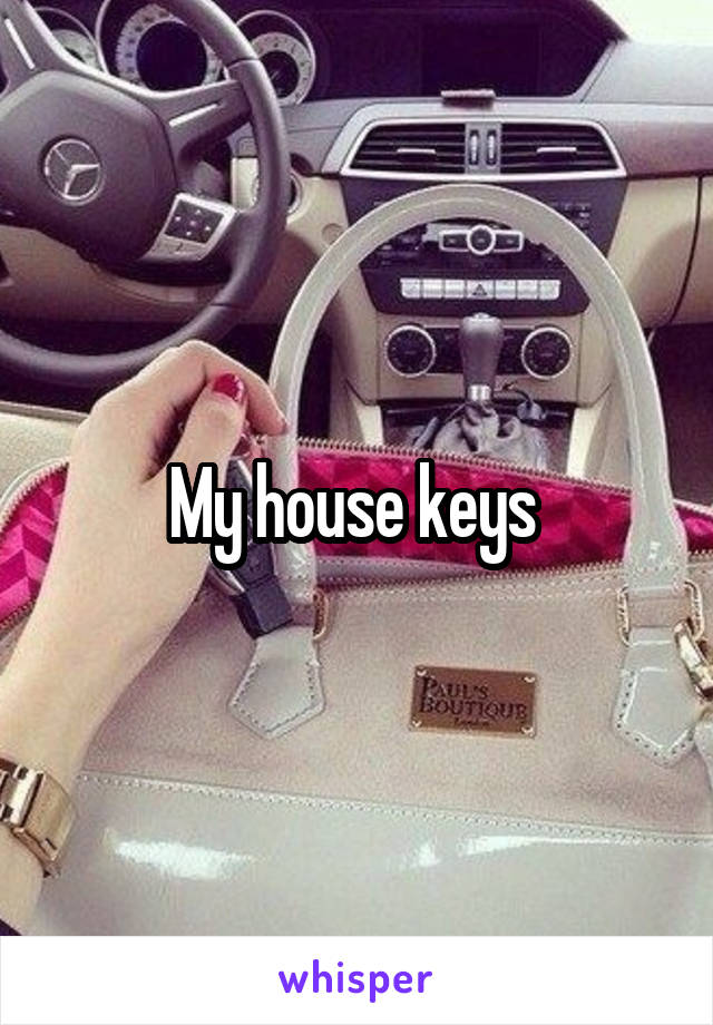 My house keys 