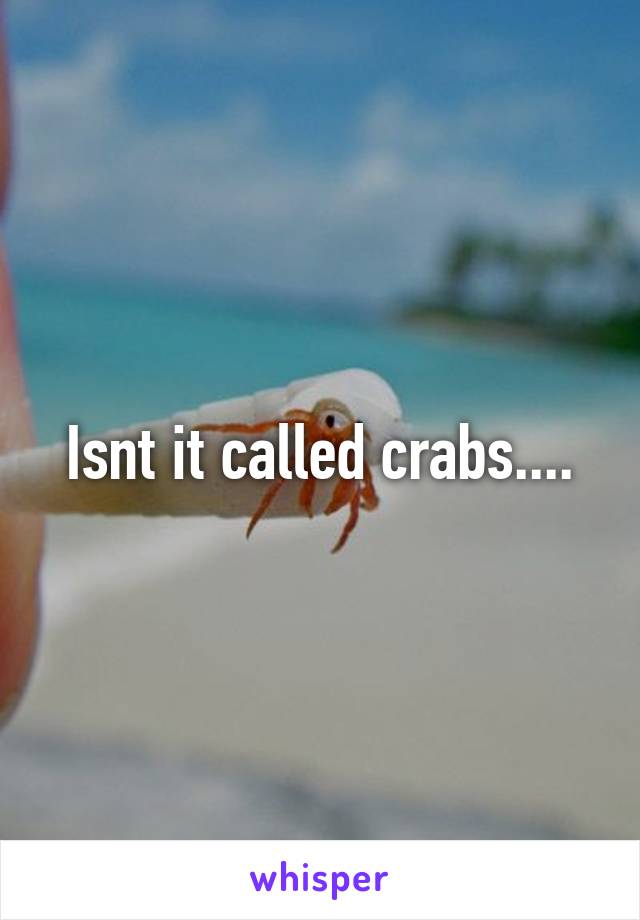 Isnt it called crabs....