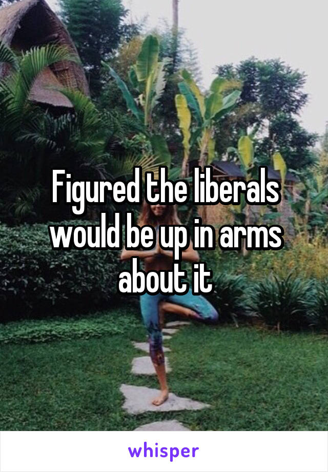 Figured the liberals would be up in arms about it