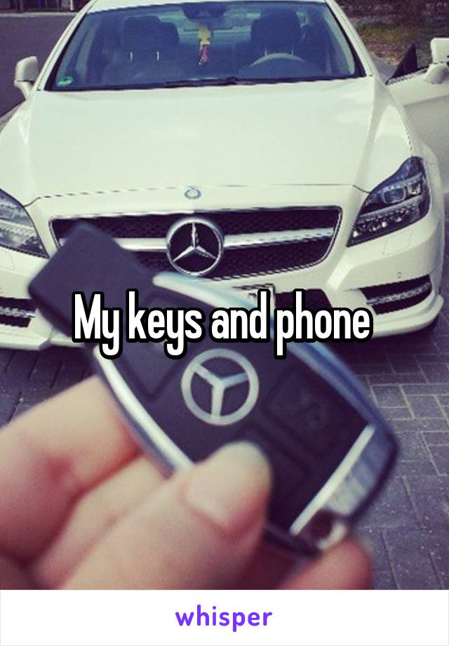 My keys and phone 