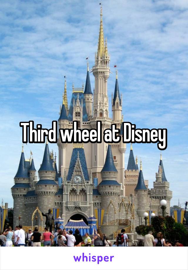 Third wheel at Disney 