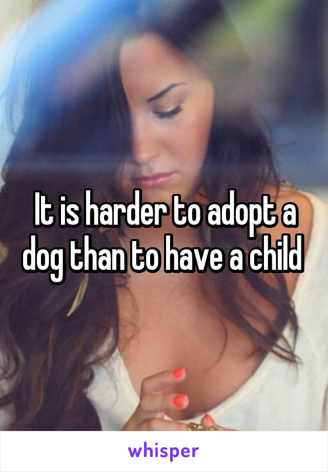 It is harder to adopt a dog than to have a child 