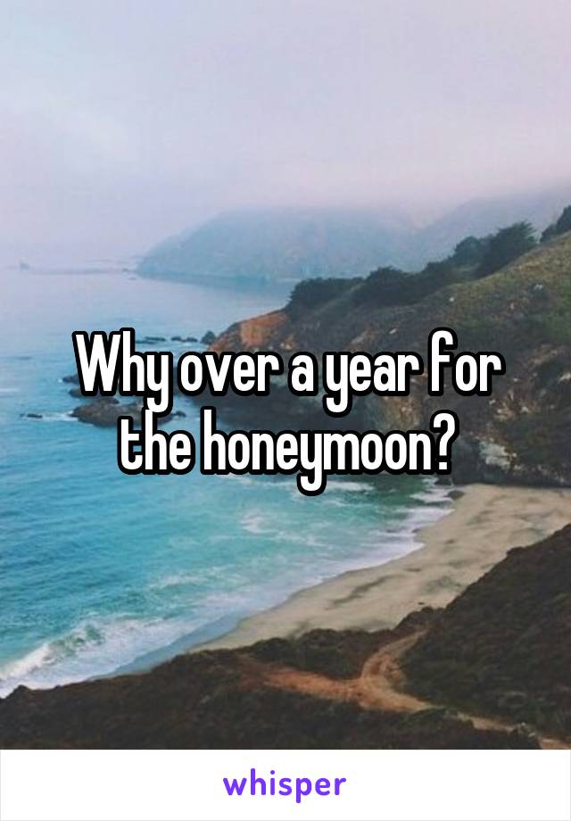 Why over a year for the honeymoon?