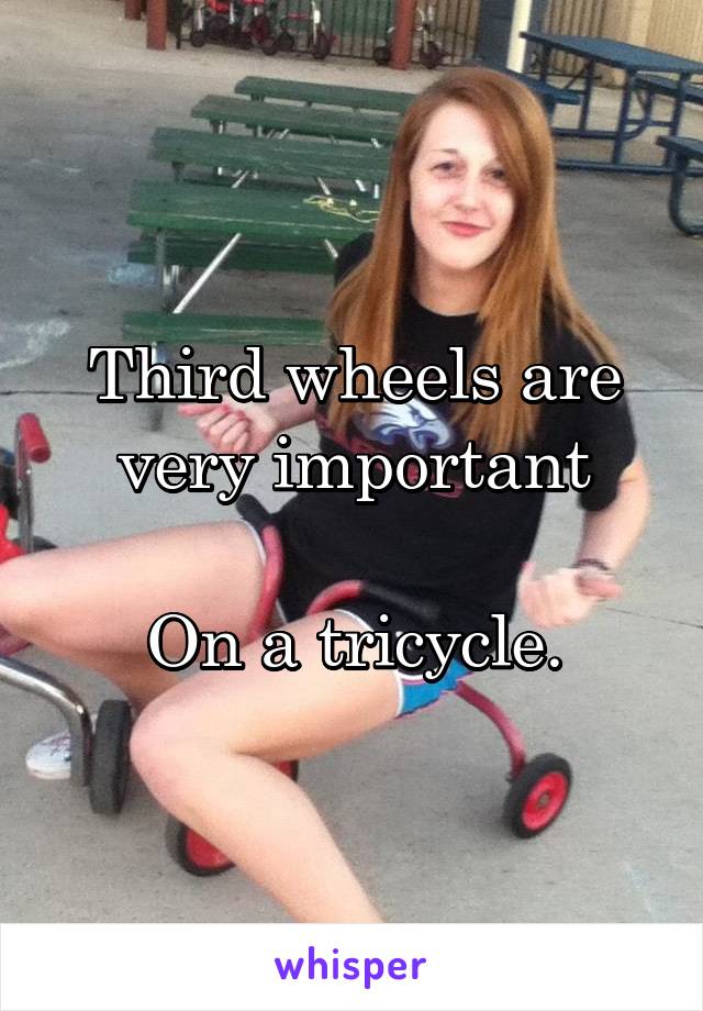 Third wheels are very important

On a tricycle.