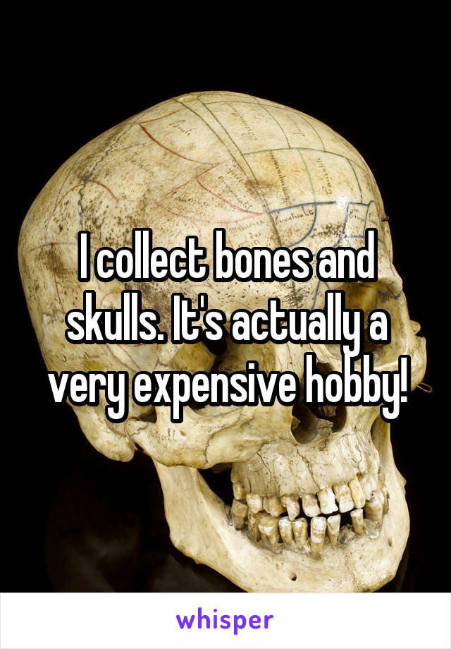 I collect bones and skulls. It's actually a very expensive hobby!