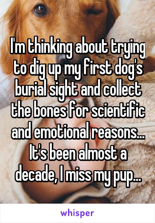 I'm thinking about trying to dig up my first dog's burial sight and collect the bones for scientific and emotional reasons... It's been almost a decade, I miss my pup...