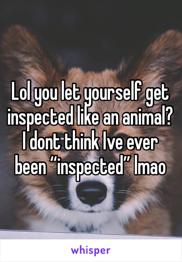 Lol you let yourself get inspected like an animal? I dont think Ive ever been “inspected” lmao