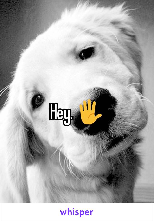 Hey. 🖐️