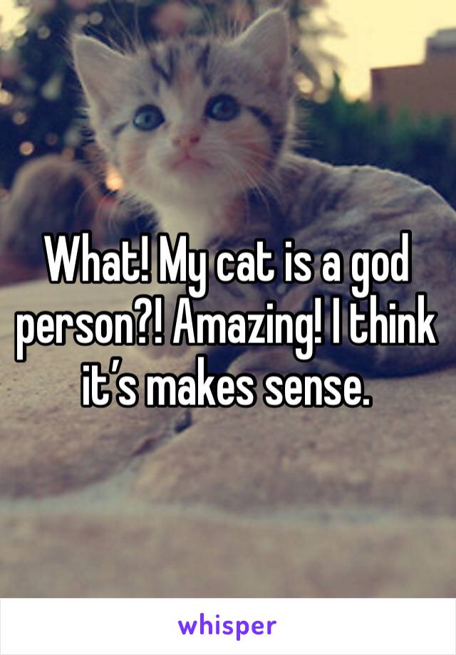 What! My cat is a god person?! Amazing! I think it’s makes sense.