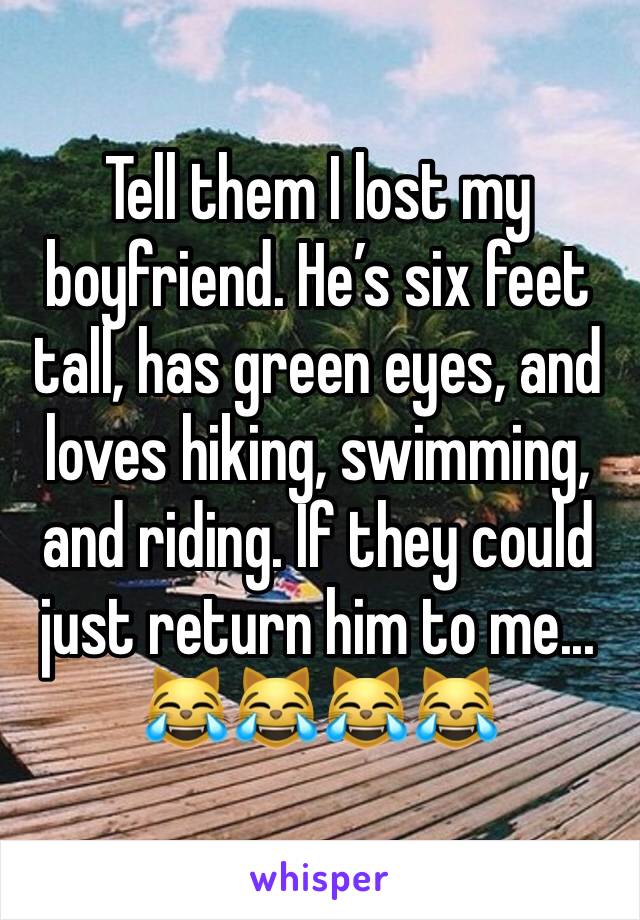 Tell them I lost my boyfriend. He’s six feet tall, has green eyes, and loves hiking, swimming, and riding. If they could just return him to me... 😹😹😹😹