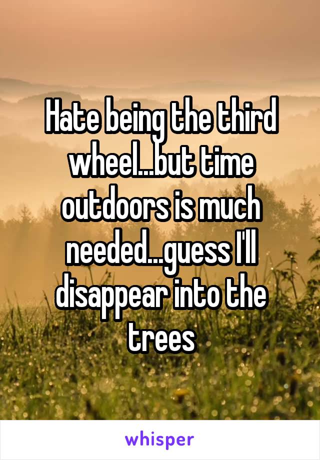 Hate being the third wheel...but time outdoors is much needed...guess I'll disappear into the trees