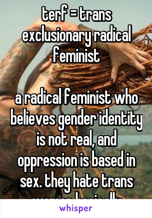 terf = trans exclusionary radical feminist

a radical feminist who believes gender identity is not real, and oppression is based in sex. they hate trans women basically