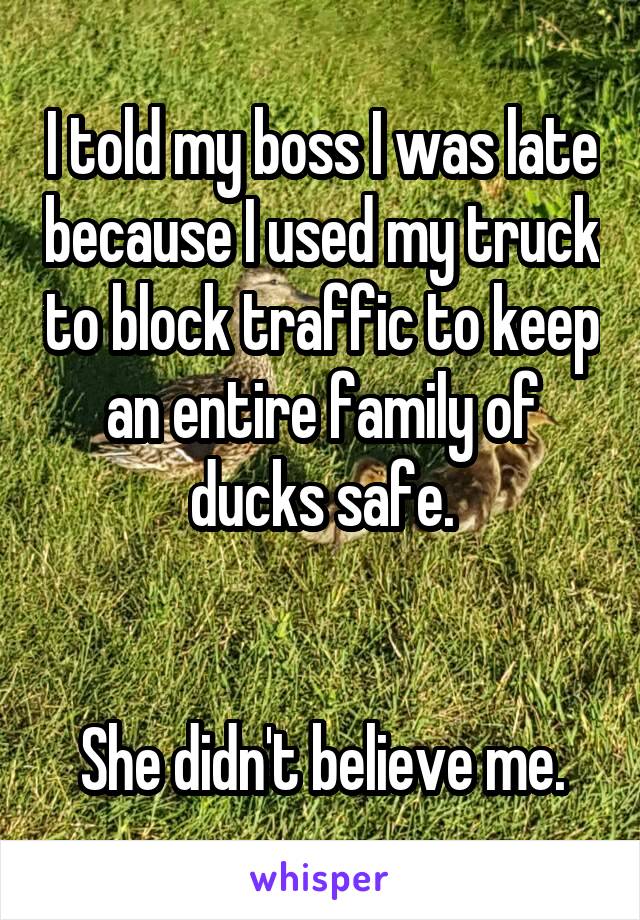 I told my boss I was late because I used my truck to block traffic to keep an entire family of ducks safe.


She didn't believe me.