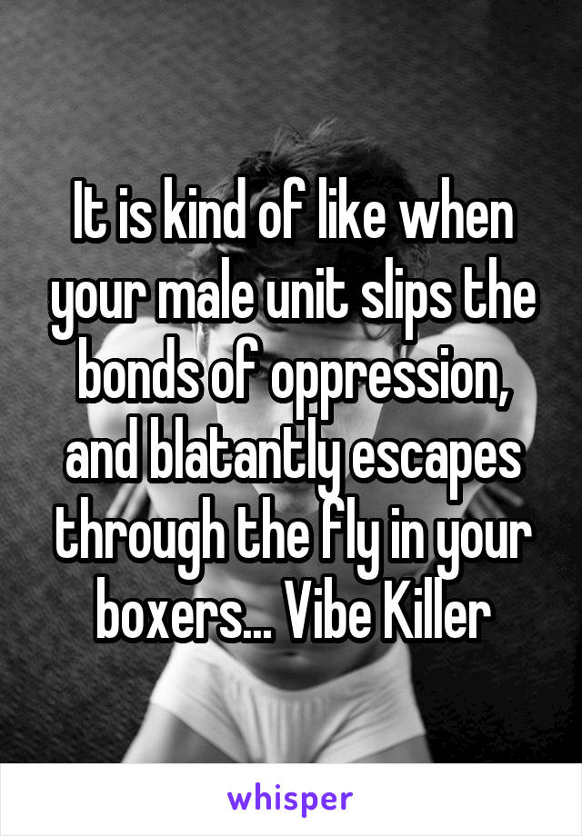It is kind of like when your male unit slips the bonds of oppression, and blatantly escapes through the fly in your boxers... Vibe Killer