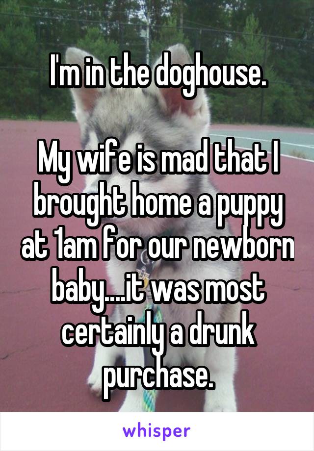 I'm in the doghouse.

My wife is mad that I brought home a puppy at 1am for our newborn baby....it was most certainly a drunk purchase.