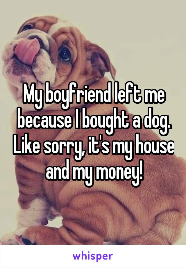 My boyfriend left me because I bought a dog. Like sorry, it's my house and my money!