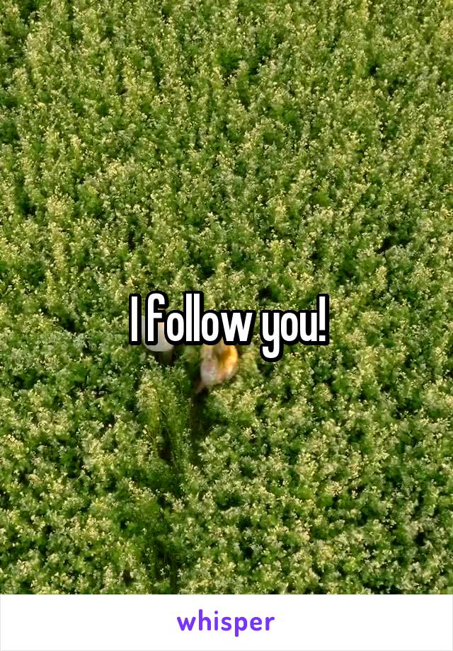 I follow you!