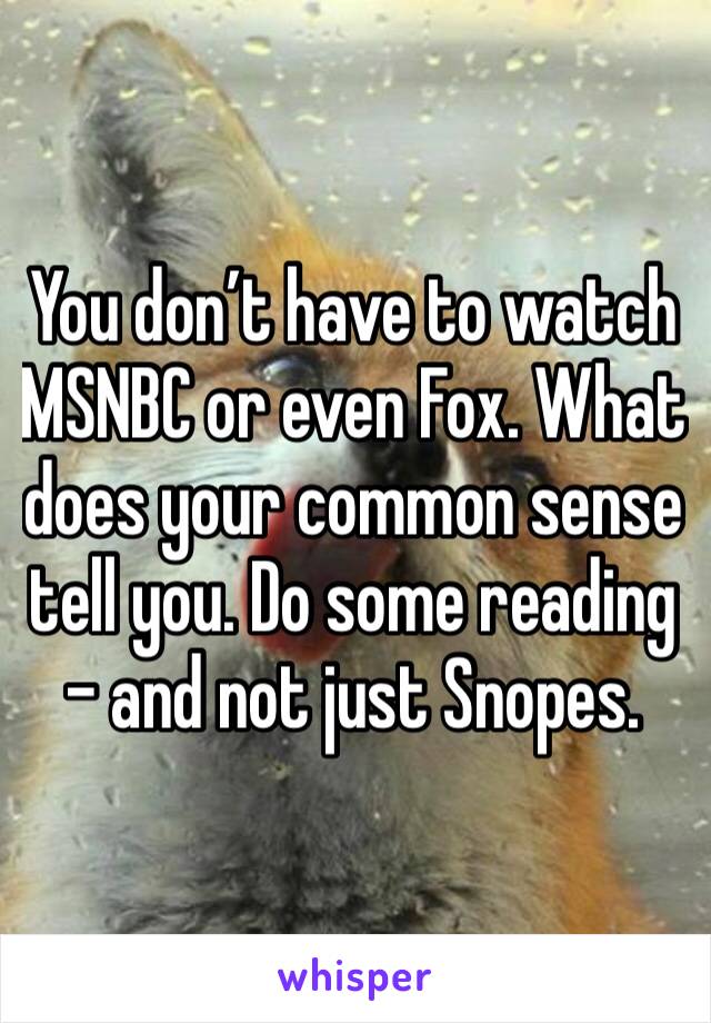 You don’t have to watch MSNBC or even Fox. What does your common sense tell you. Do some reading - and not just Snopes.