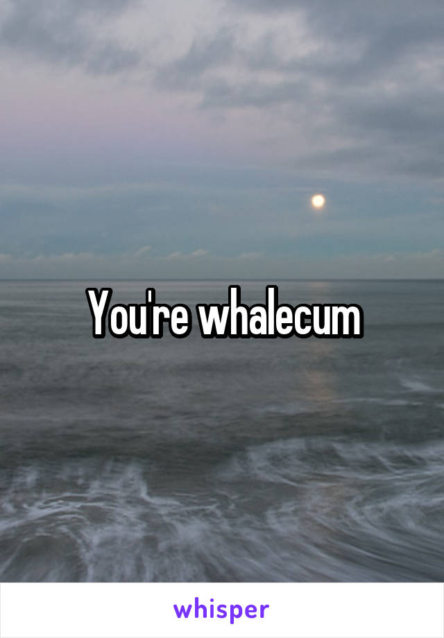 You're whalecum