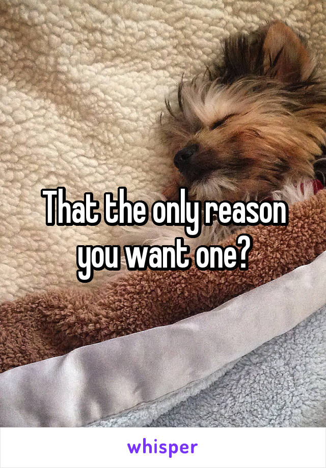 That the only reason you want one?