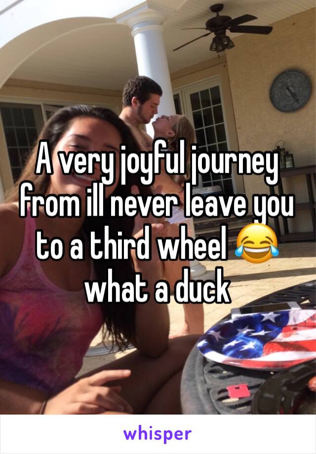 A very joyful journey from ill never leave you to a third wheel 😂 what a duck