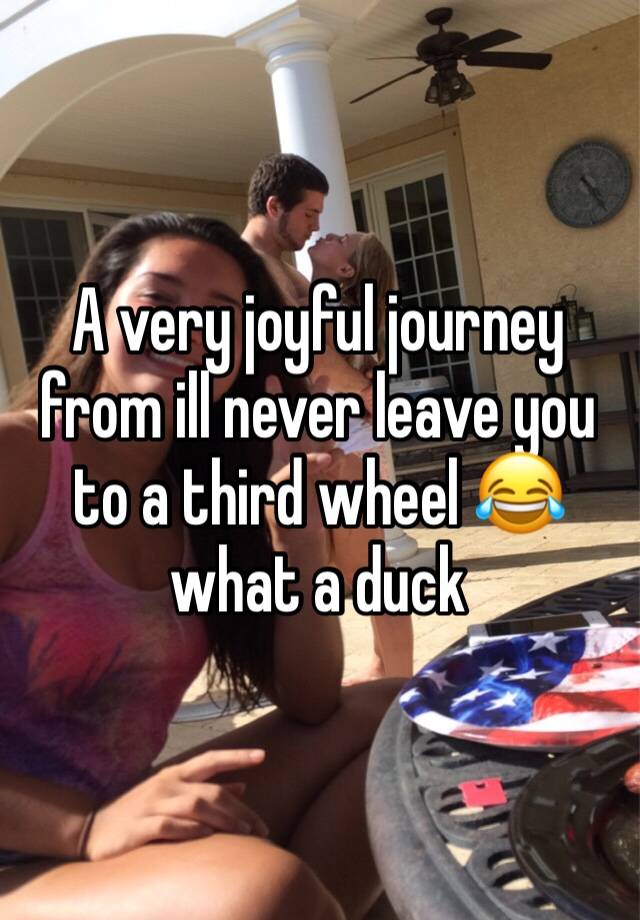 A very joyful journey from ill never leave you to a third wheel 😂 what a duck