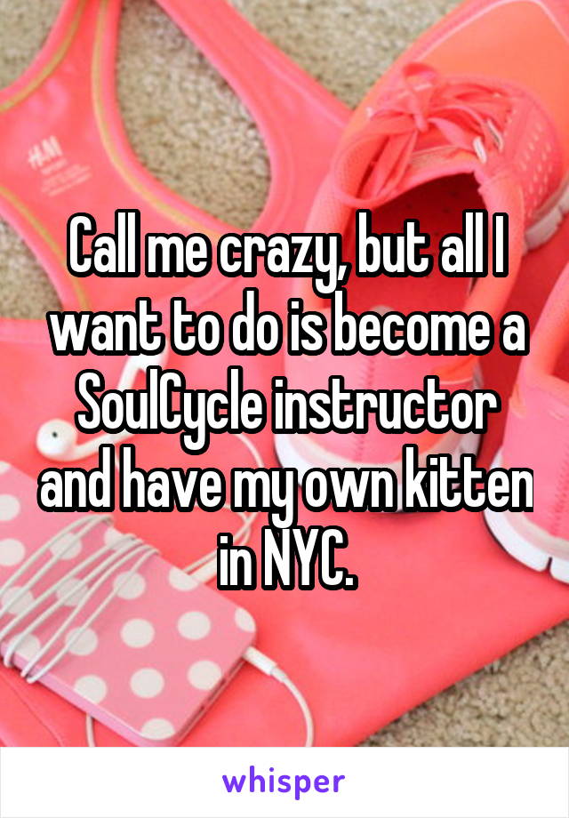 Call me crazy, but all I want to do is become a SoulCycle instructor and have my own kitten in NYC.