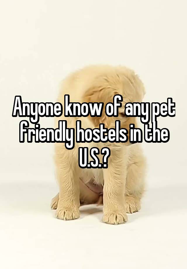 Anyone know of any pet friendly hostels in the U.S.?