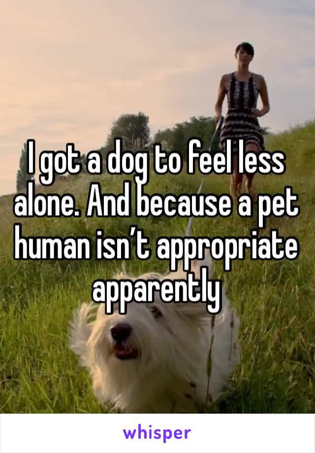 I got a dog to feel less alone. And because a pet human isn’t appropriate apparently 