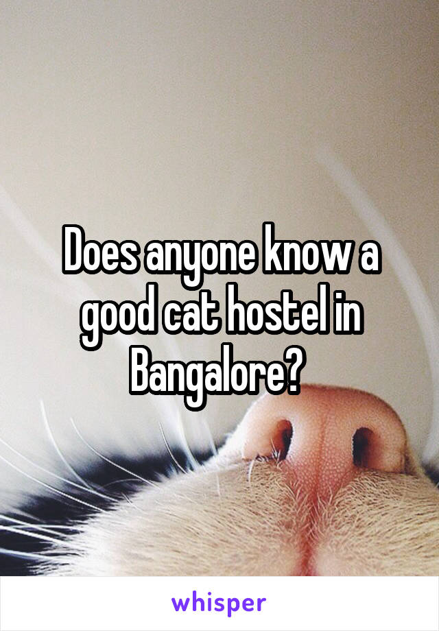 Does anyone know a good cat hostel in Bangalore? 