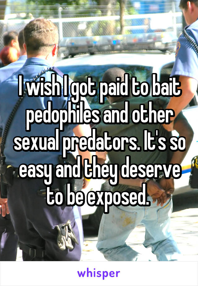 I wish I got paid to bait pedophiles and other sexual predators. It's so easy and they deserve to be exposed. 