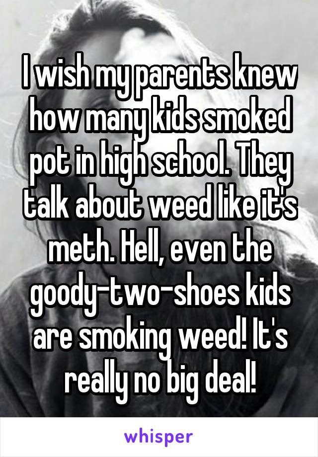 I wish my parents knew how many kids smoked pot in high school. They talk about weed like it's meth. Hell, even the goody-two-shoes kids are smoking weed! It's really no big deal!