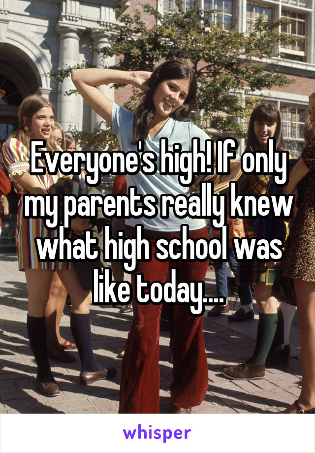 Everyone's high! If only my parents really knew what high school was like today....